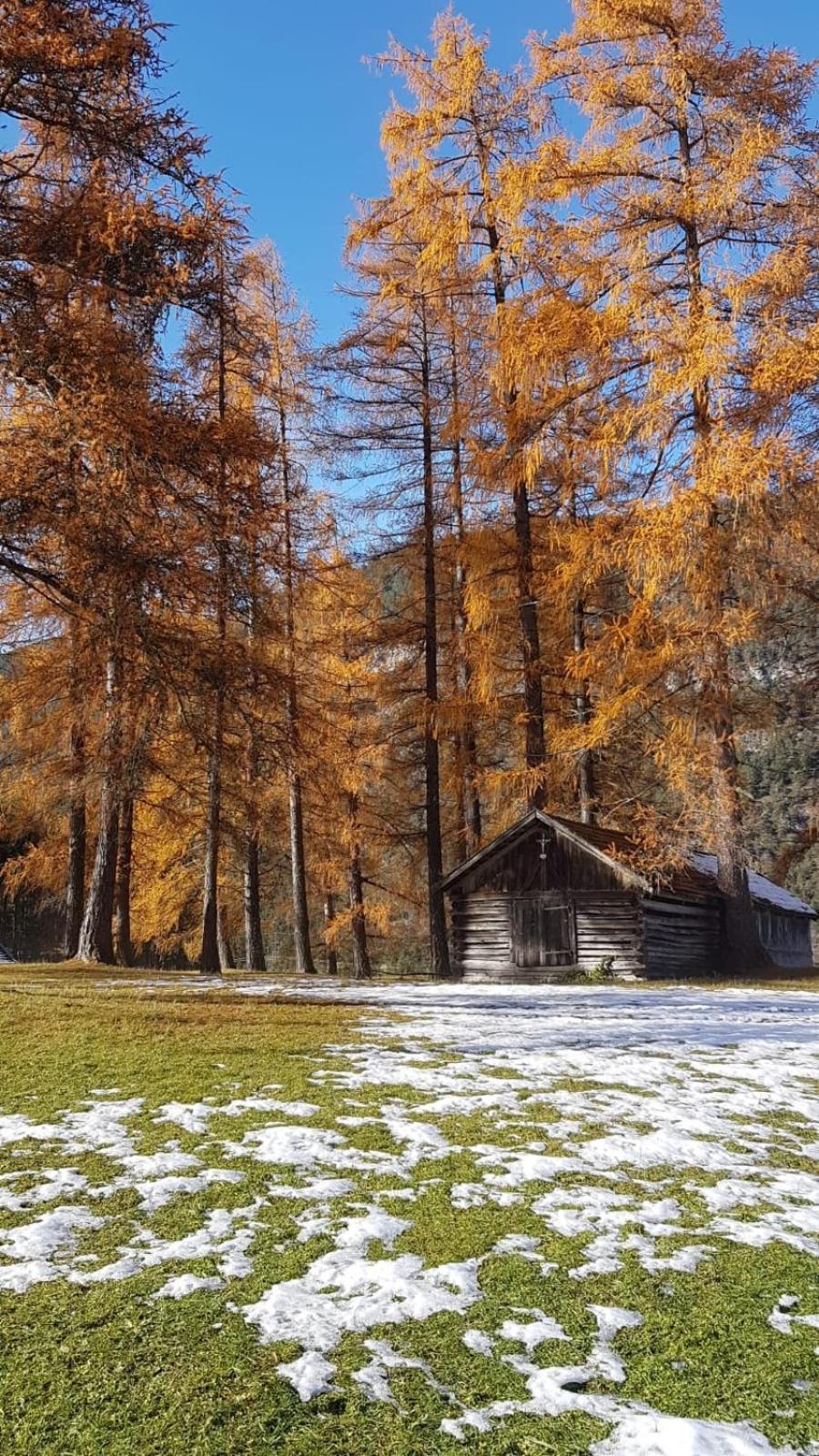 Chalet Am See Nassereith Eksteriør billede